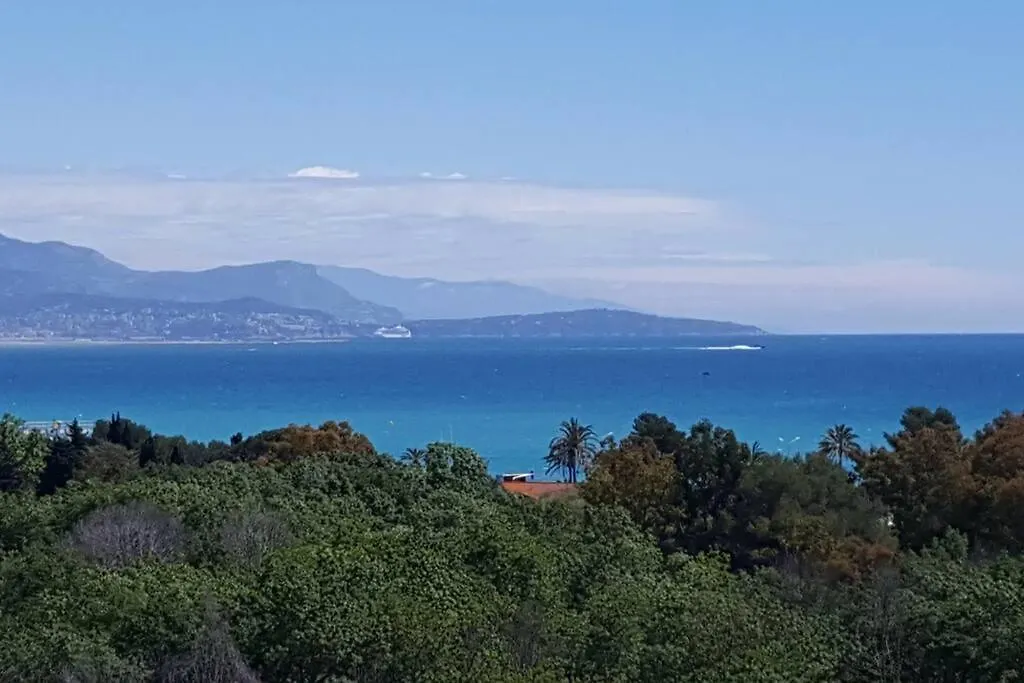 Superbe Appartement, Piscine, Vue Mer Et Montagnes Antibes