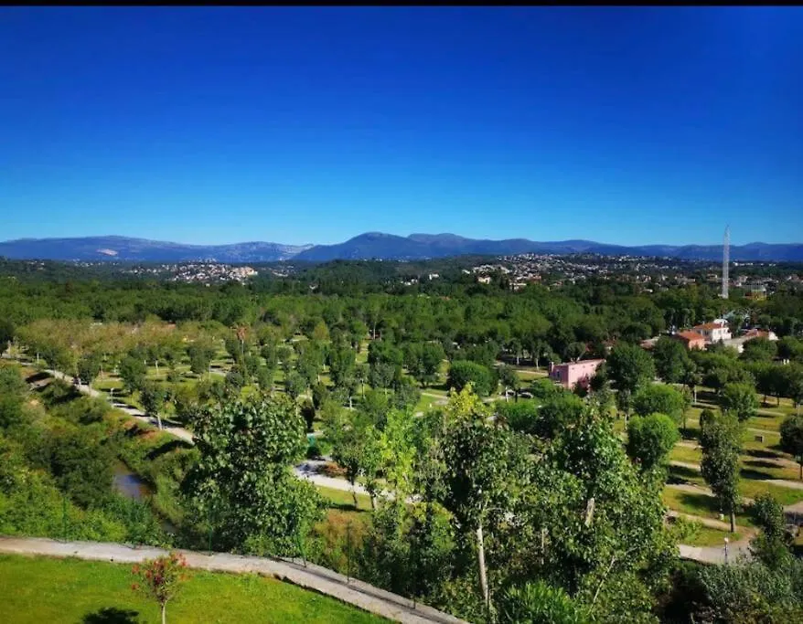 Superbe Appartement, Piscine, Vue Mer Et Montagnes Antibes