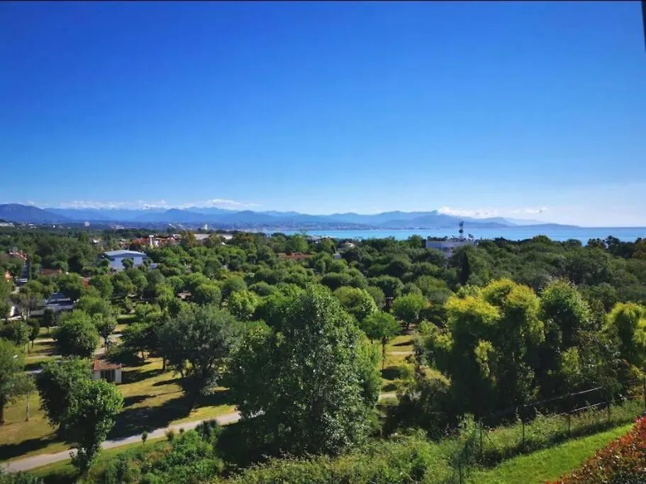 Superbe Appartement, Piscine, Vue Mer Et Montagnes Antibes 0*,  France